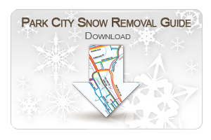 Snow Removal Guide