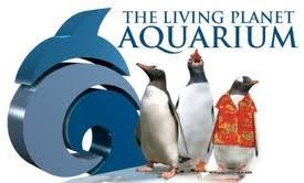 Living Planet Aquarium Graphic