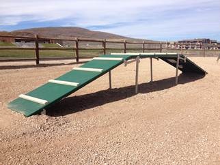 Agility Piece at Dog Park