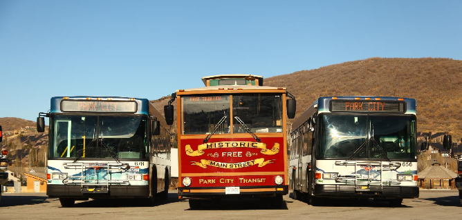 Buses With Trolley