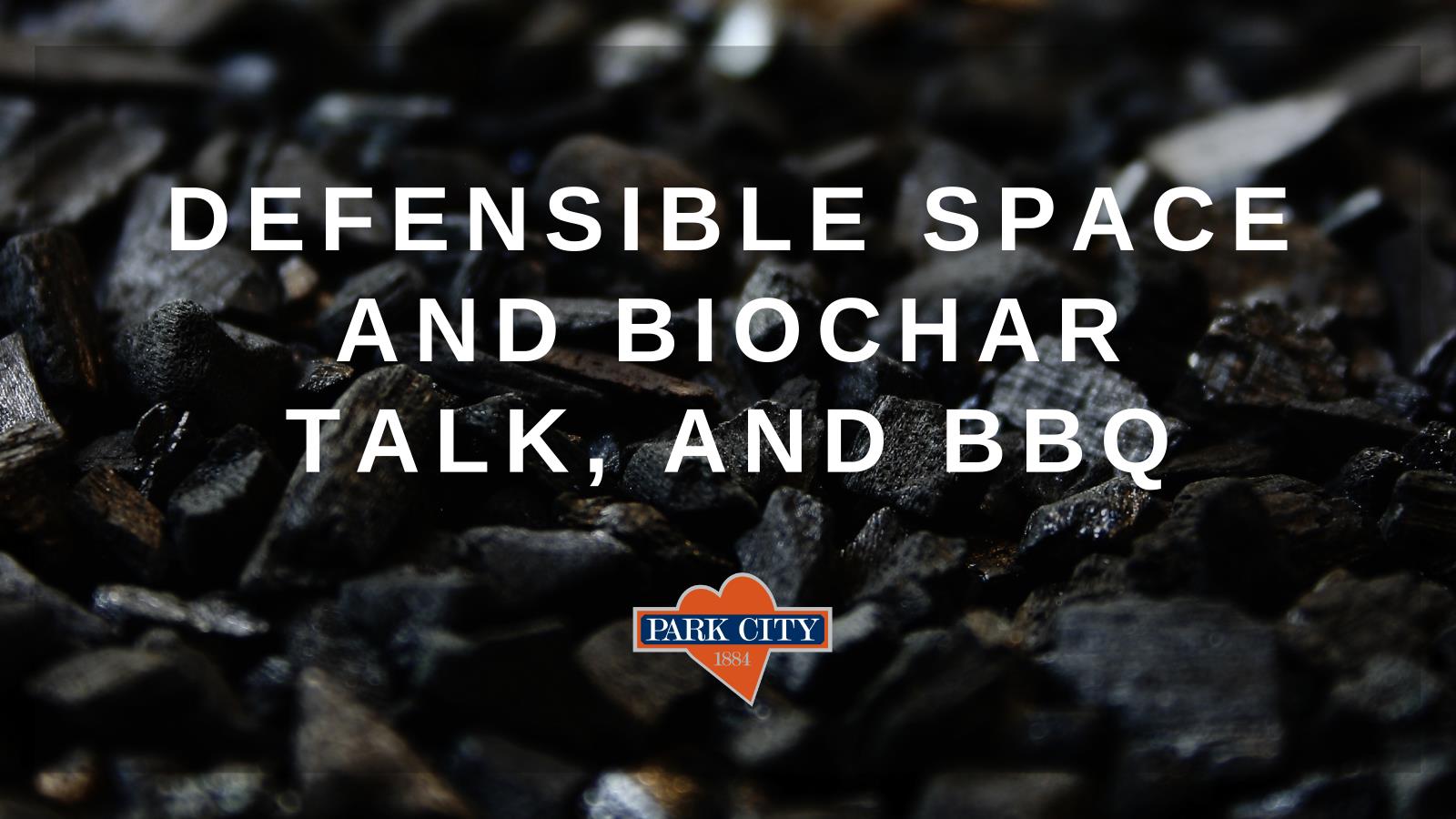 Biochar Talk and BBQ