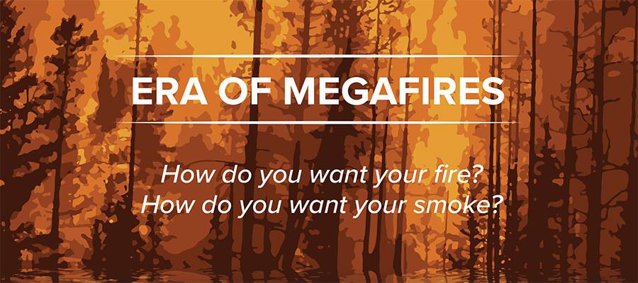 Era of Megafires