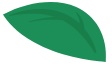 leaf icon