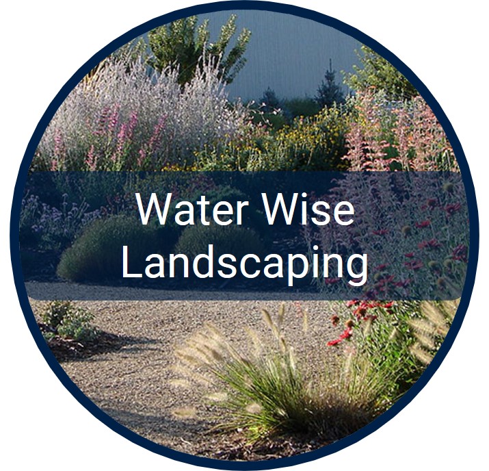 Water Wise Landscaping